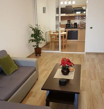 Apartament Isaran Apartment Brasov