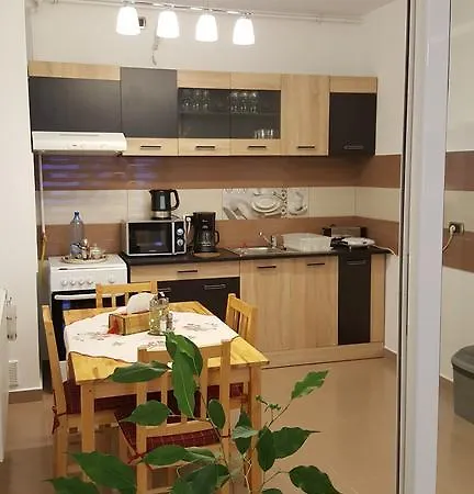Apartament Isaran Apartment *