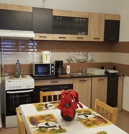 Apartment Apartament Isaran Brasov
