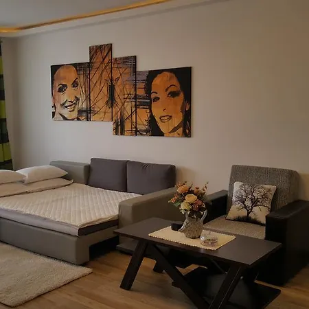 Apartment Apartament Isaran Brasov